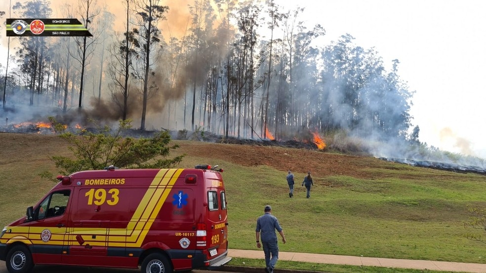 Incndio em mata de Piracicaba aps queda de avio no bairro Santa Rosa Foto Corpo de Bombeiros de SP