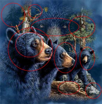 2 A paciencia faz parte do seu carater A quantidade de ursos que enxergar revela
