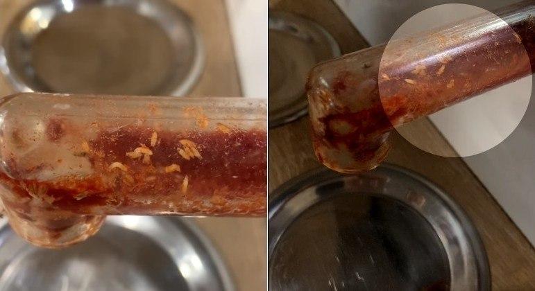 Cliente flagra larvas em dispenser de ketchup de gigante do fast-food - Notcias - R7 Hora 7